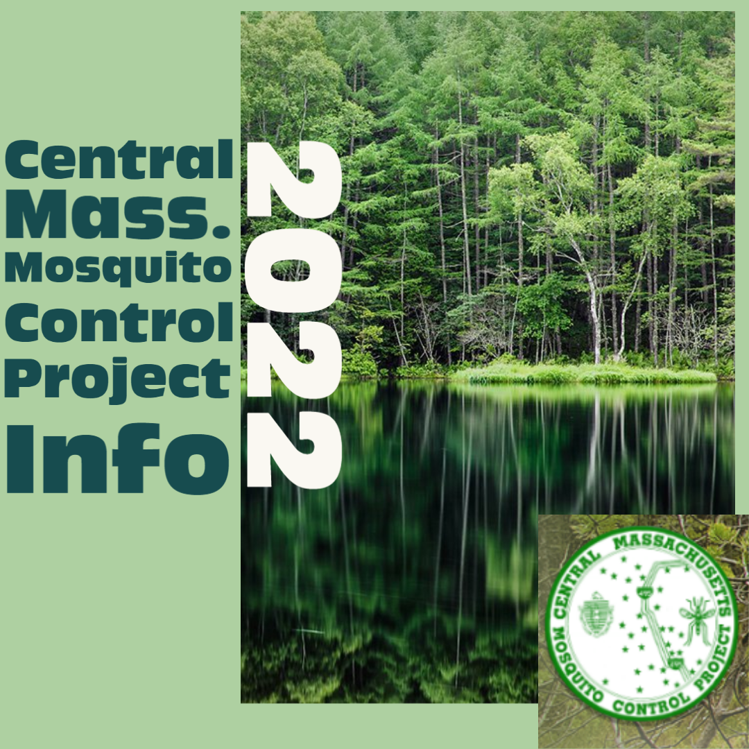 Mosquito Project