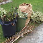YardWaste.png